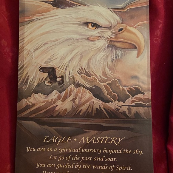 Meet your Posher, Meg - Picture 9 of 16